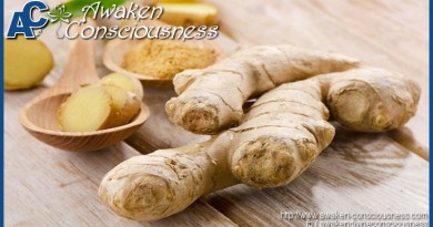 THE HEALTH BENEFITS OF GINGER ROOT