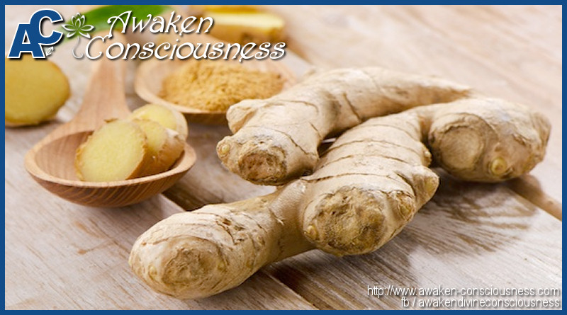 THE HEALTH BENEFITS OF GINGER ROOT
