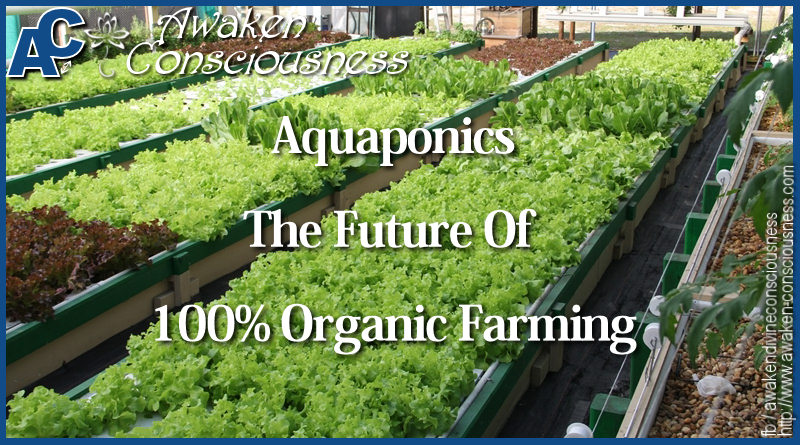 AQUAPONICS IS THE FUTURE OF 100% ORGANIC FARMING