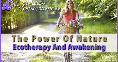 The Power of Nature - Ecotherapy and Awakening