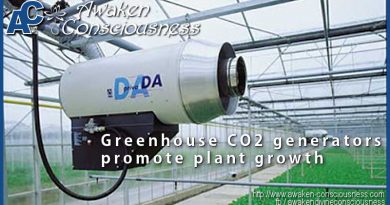 CO2 generators promote plant growth